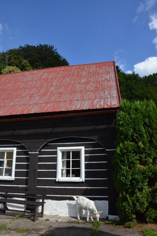 U Kozy Maison d'hôtes Chřibská
