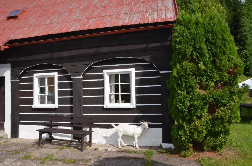 Maison d'hôtes U Kozy